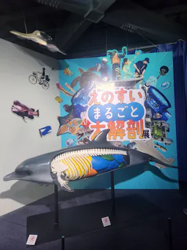 新江ノ島水族館に投稿された画像（2026/9/4）