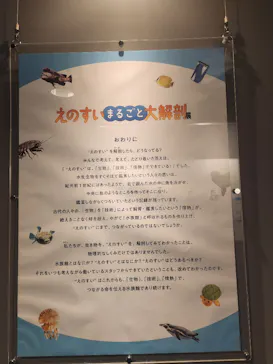 新江ノ島水族館に投稿された画像（2026/9/4）
