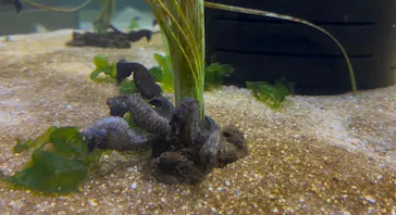 仙台うみの杜水族館に投稿された画像（2026/9/4）
