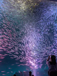 名古屋港水族館に投稿された画像（2026/9/4）