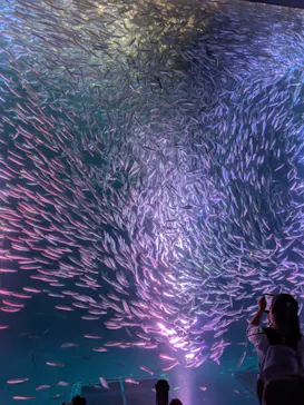 名古屋港水族館に投稿された画像（2026/9/4）
