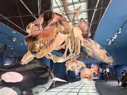 名古屋港水族館に投稿された画像（2026/9/4）