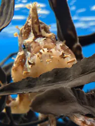 名古屋港水族館に投稿された画像（2026/9/4）