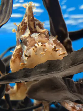名古屋港水族館に投稿された画像（2026/9/4）