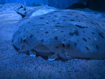 名古屋港水族館に投稿された画像（2026/9/4）