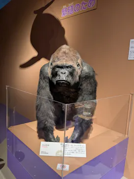 特別展「いきもの超ワールド展　国立科学博物館×ダーウィンが来た！」（国立科学博物館）に投稿された画像（2026/9/4）