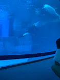 名古屋港水族館に投稿された画像（2026/9/4）