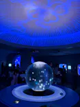 新江ノ島水族館に投稿された画像（2026/9/4）