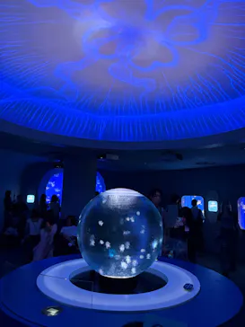 新江ノ島水族館に投稿された画像（2026/9/4）