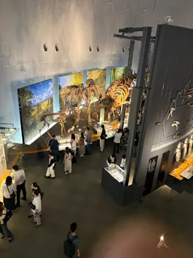 福井県立恐竜博物館に投稿された画像（2026/9/4）