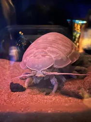 名古屋港水族館に投稿された画像（2026/9/4）