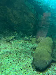 名古屋港水族館に投稿された画像（2026/9/4）