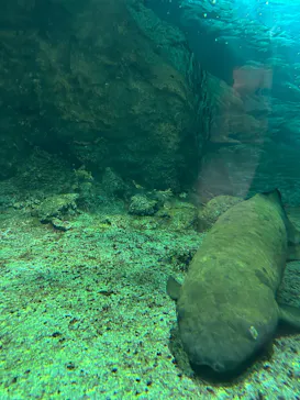 名古屋港水族館に投稿された画像（2026/9/4）