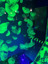 名古屋港水族館に投稿された画像（2026/9/4）