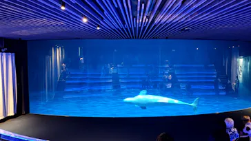 島根県立 しまね海洋館に投稿された画像（2026/9/5）