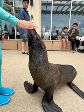 新江ノ島水族館に投稿された画像（2026/9/5）