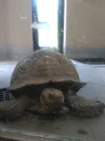 日立市かみね動物園に投稿された画像（2026/9/5）