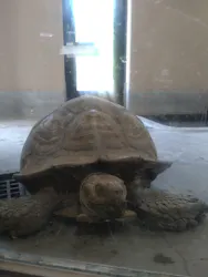 日立市かみね動物園に投稿された画像（2026/9/5）