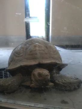 日立市かみね動物園に投稿された画像（2026/9/5）