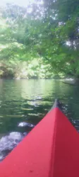 FEELGOOD CANOE TOURS（フィールグッドカヌーツアーズ）に投稿された画像（2026/9/5）
