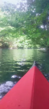 FEELGOOD CANOE TOURS（フィールグッドカヌーツアーズ）に投稿された画像（2026/9/5）