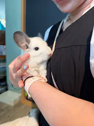 Moff animal cafe iias つくば店に投稿された画像（2026/9/5）