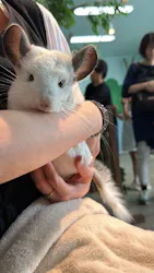 Moff animal cafe iias つくば店に投稿された画像（2026/9/5）