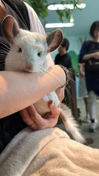 Moff animal cafe iias つくば店に投稿された画像（2026/9/5）