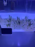 すみだ水族館に投稿された画像（2026/9/5）