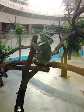 多摩動物公園に投稿された画像（2026/9/5）