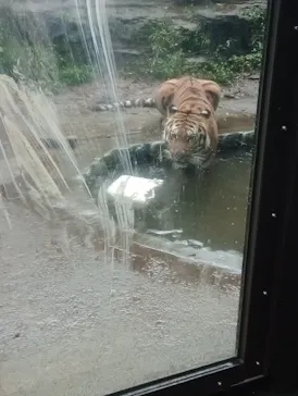 多摩動物公園に投稿された画像（2026/9/5）