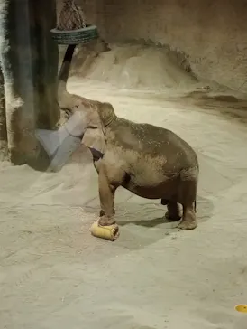 多摩動物公園に投稿された画像（2026/9/5）