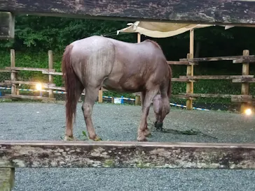 多摩動物公園に投稿された画像（2026/9/5）