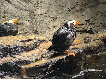 葛西臨海水族園に投稿された画像（2026/9/5）