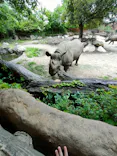 天王寺動物園に投稿された画像（2026/9/5）