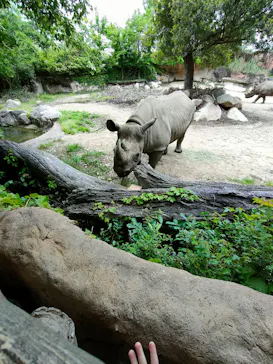 天王寺動物園に投稿された画像（2026/9/5）