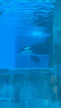 名古屋港水族館に投稿された画像（2026/9/5）