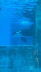 名古屋港水族館に投稿された画像（2026/9/5）
