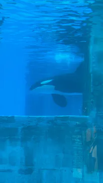 名古屋港水族館に投稿された画像（2026/9/5）