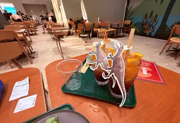 福井県立恐竜博物館に投稿された画像（2026/9/5）