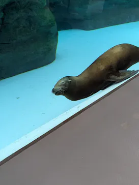 天王寺動物園に投稿された画像（2026/9/5）
