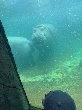 天王寺動物園に投稿された画像（2026/9/5）
