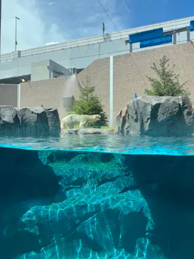 天王寺動物園に投稿された画像（2026/9/5）