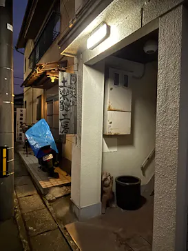 土楽猫工房に投稿された画像（2026/9/5）