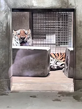 天王寺動物園に投稿された画像（2026/9/5）