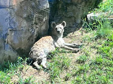 天王寺動物園に投稿された画像（2026/9/5）