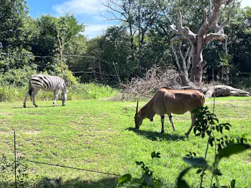 天王寺動物園に投稿された画像（2026/9/5）