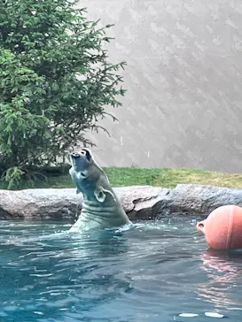 天王寺動物園に投稿された画像（2026/9/5）