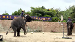 ANIMAL WONDER REZOURT 市原ぞうの国・サユリワールドに投稿された画像（2026/9/5）