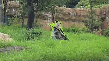 上野動物園 ハシビロカートに投稿された画像（2026/9/5）